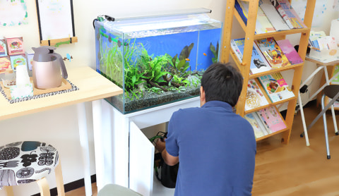 水槽メンテナンス