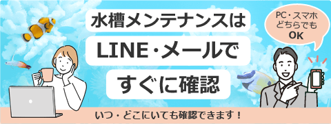 水槽メンテナンス報告サービス